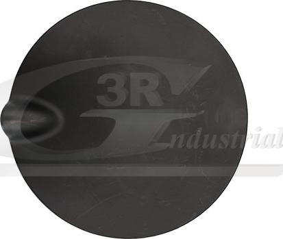 3RG 81323
