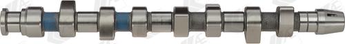 AE CAM671 - SADALES VĀRPSTA CAM671