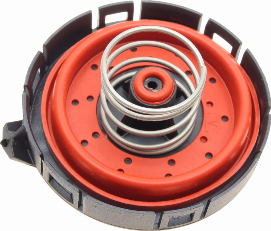 AIC 55625 - KARTERA VENT. FILTRS