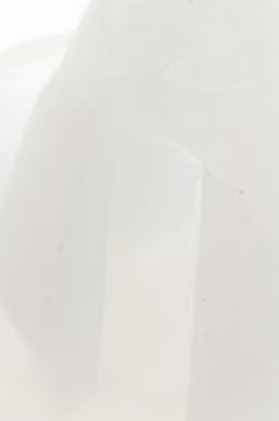 AIC 55675 - AIZSPIEDNIS 55675