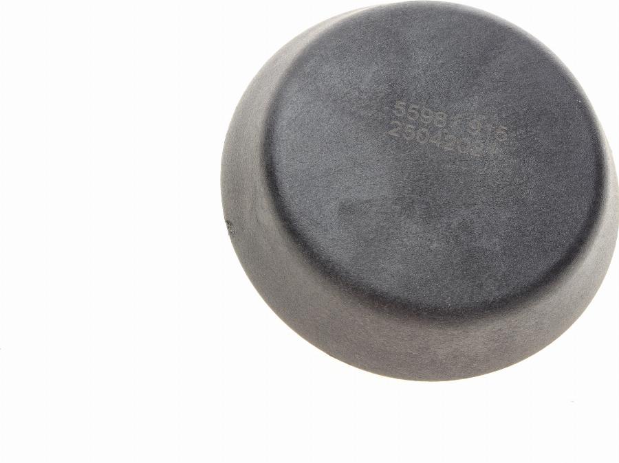 AIC 55981 - DOMKRATA ATBALSTS 55981