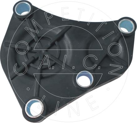 AIC 56066 - 56066 SADALES VĀRPSTAS