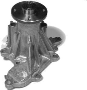 AISIN WPN-905 - WPN-905 SŪKNIS NISSAN