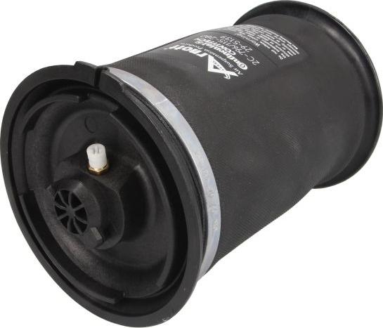 Arnott A-2642 - PNEIMO SPILVENS A-2642