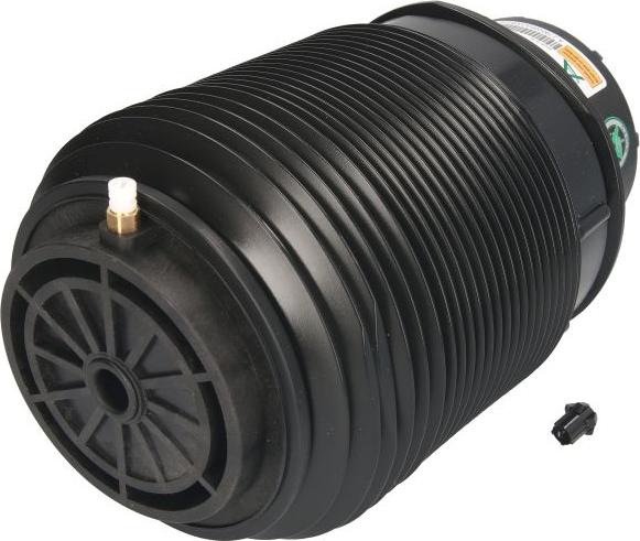 Arnott A-2790 - PNEIMO SPILVENS A-2790