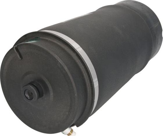 Arnott A-2831 - PNEIMO SPILVENS A-2831