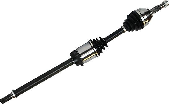 GSP 241441 - 305166 PUSASS L