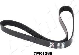 Ashika 112-7PK1260 - Ķīļrievu siksna