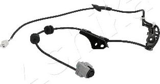 Ashika 151-02-2031 - Auto Part