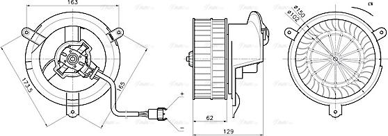 AVA MS8784