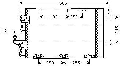 AVA OL5384D