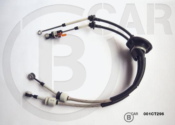 B CAR 001CT296 - TROSE PĀRNESUMU
