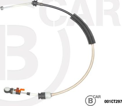B CAR 001CT297 - TROSE PĀRNESUMU