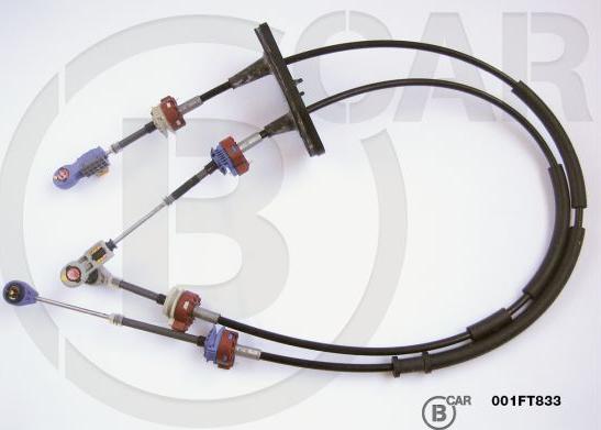B CAR 001FT833 - TROSE PĀRNESUMU