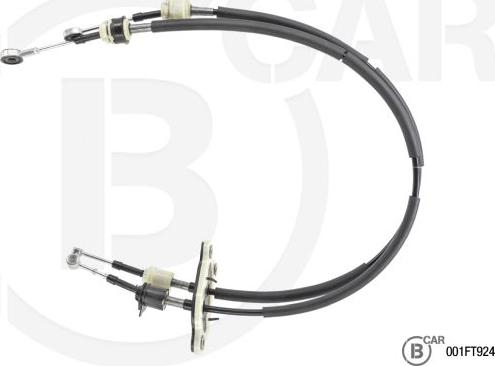 B CAR 001FT924 - TROSE PĀRNESUMU