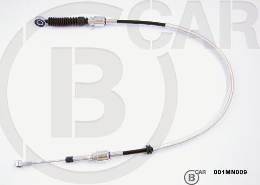 B CAR 001MN009 - TROSE PĀRNESUMU