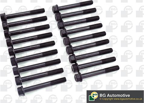 BGA BK6313 - GALVAS SKRUVES HBS008