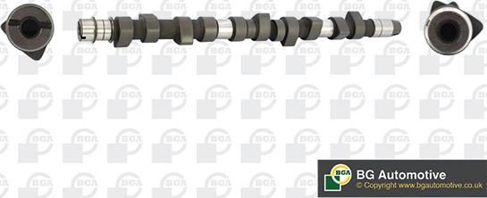 BGA CS3381 - SADALES VĀRPSTA CAM442