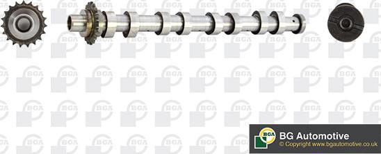 BGA CS5538