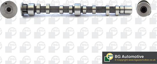 BGA CS9609 - SADALES VĀRPSTA CAM998