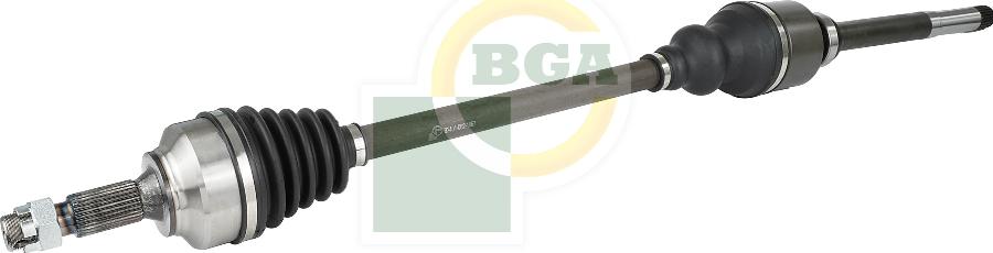BGA DS1469R