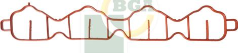 BGA MG9605