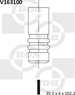 BGA V163100 - IEPLŪDES VĀRSTS