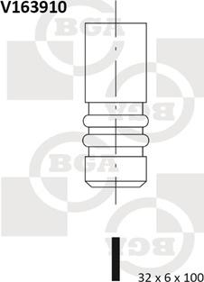 BGA V163910 - IEPLŪDES VĀRSTS