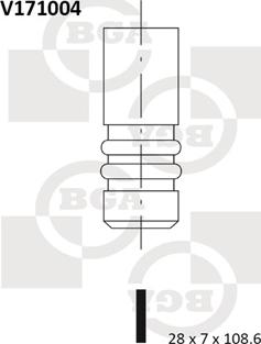 BGA V171004 - IZPLŪDES VĀRSTS