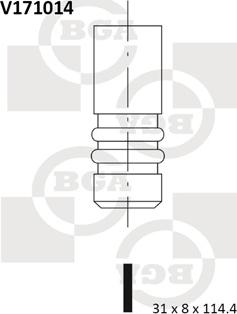 BGA V171014 - IZPLŪDES VĀRSTS