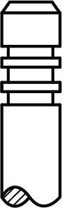 BGA V331035 - IEPLŪDES VĀRSTS