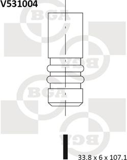 BGA V531004 - IZPLŪDES VĀRSTS