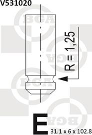 BGA V531020 - IZPLŪDES VĀRSTS
