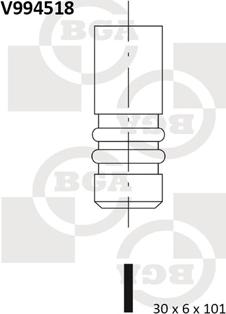 BGA V994518 - IZPLŪDES VĀRSTS