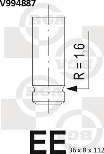BGA V994887 - IZPLŪDES VĀRSTS