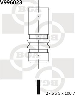 BGA V996023 - IZPLŪDES VĀRSTS