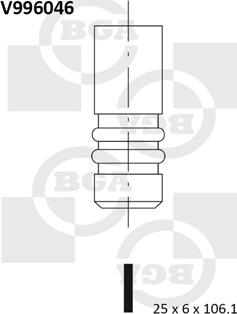 BGA V996046 - IZPLŪDES VĀRSTS