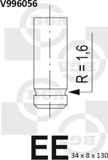 BGA V996056 - IZPLŪDES VĀRSTS