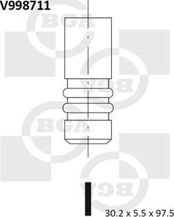 BGA V998711 - IZPLŪDES VĀRSTS