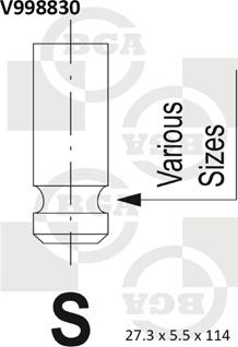 BGA V998830 - IZPLŪDES VĀRSTS