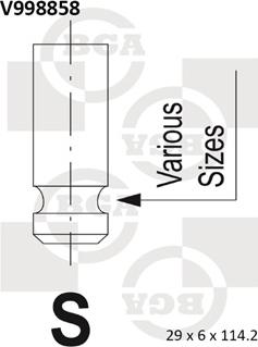 BGA V998858 - IZPLŪDES VĀRSTS