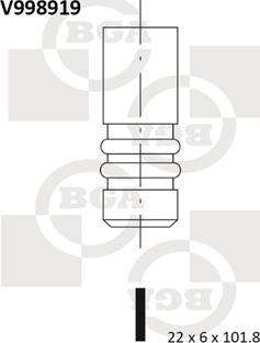 BGA V998919 - IZPLŪDES VĀRSTS