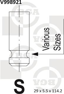 BGA V998921 - IZPLŪDES VĀRSTS