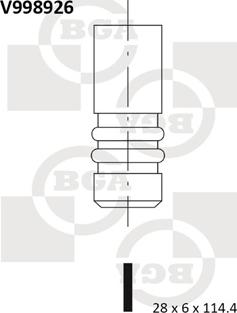 BGA V998926 - IEPLŪDES VĀRSTS