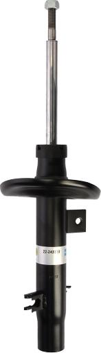 BILSTEIN 22-243119 - Amortizators