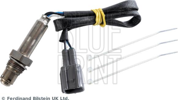 Blue Print ADBP700025