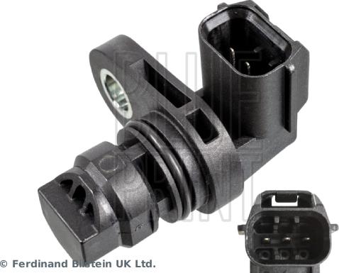 Blue Print ADBP720024
