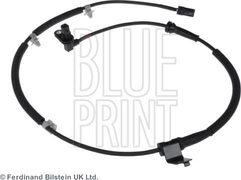 Blue Print ADG07153