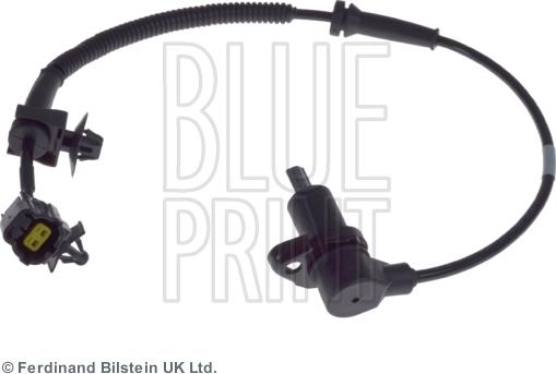 Blue Print ADG07157