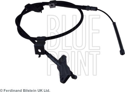 Blue Print ADH246113 - TROSE HONDA